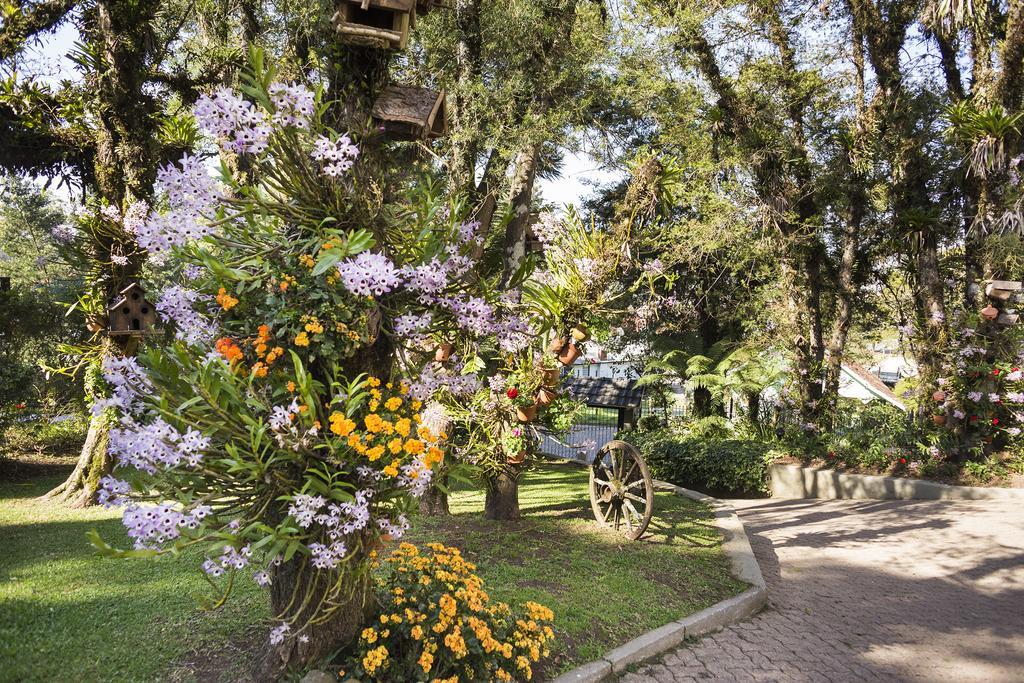 فندق كانيلافي  Solar Das Orquideas المظهر الخارجي الصورة